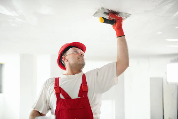 Best Eco-Friendly and Low-VOC Painting  in Tropical Park, FL